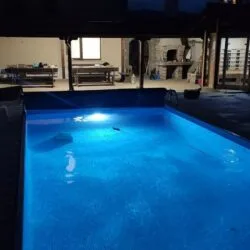 Rechteckiger Pool am Abend mit Unterwasserbeleuchtung und überdachter Terrasse